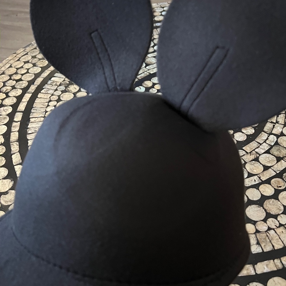 All Ears Hat - Picture 5 of 7